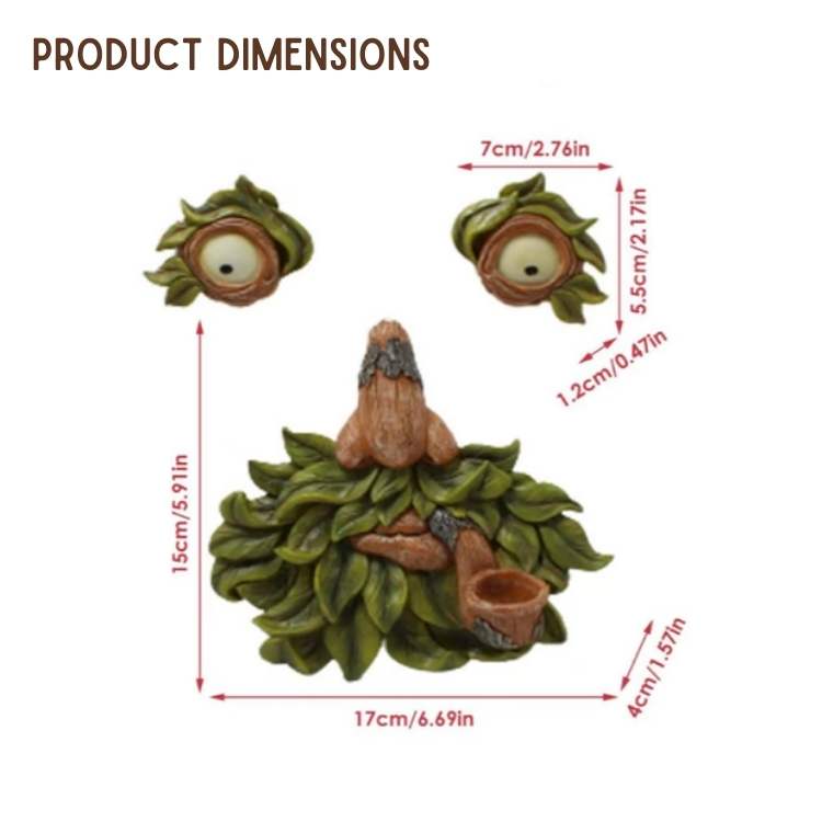 Distributeur de Nourriture pour Oiseaux de la Nature
