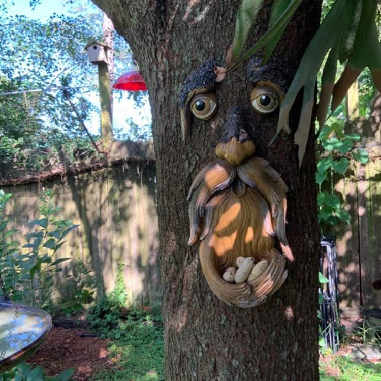 Distributeur de Nourriture pour Oiseaux de la Nature