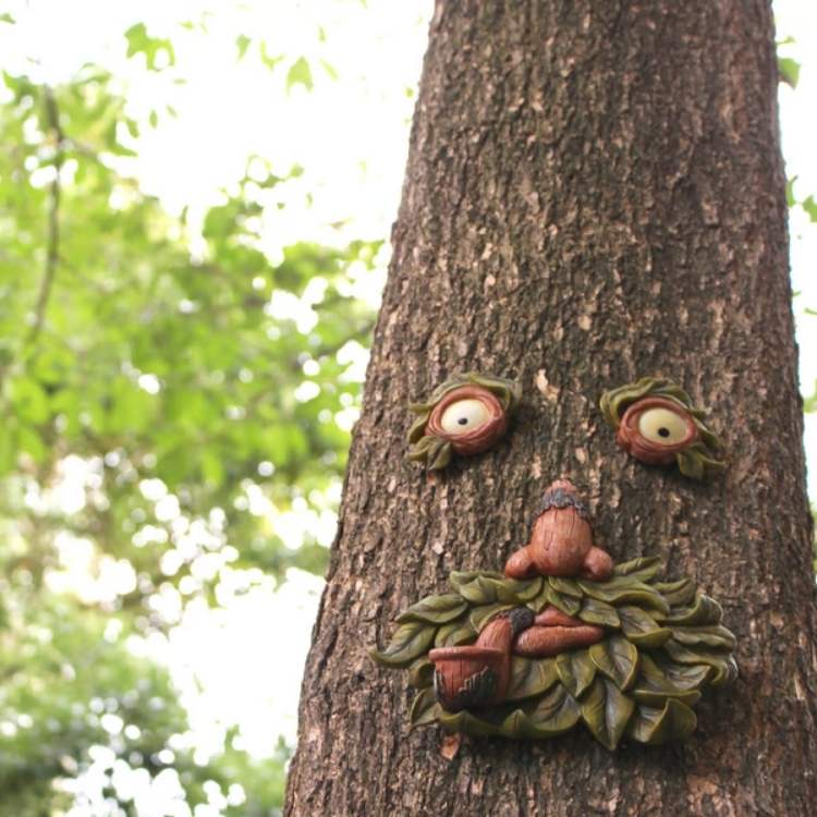 Distributeur de Nourriture pour Oiseaux de la Nature