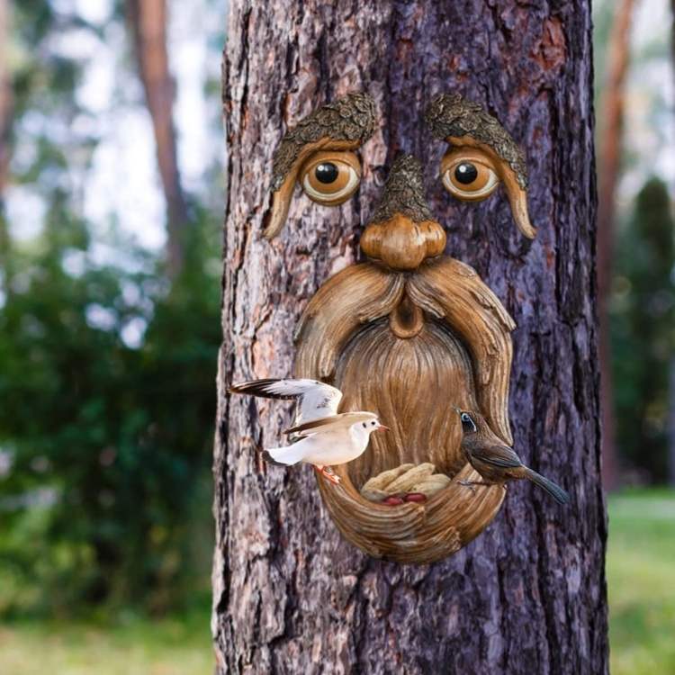 Distributeur de Nourriture pour Oiseaux de la Nature