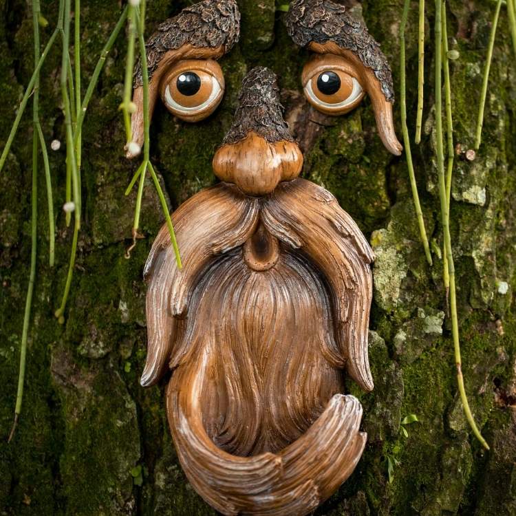 Distributeur de Nourriture pour Oiseaux de la Nature