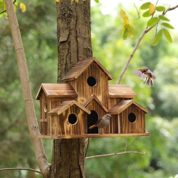 Nichoir fonctionnel en bois pour oiseaux de jardin – Nestora