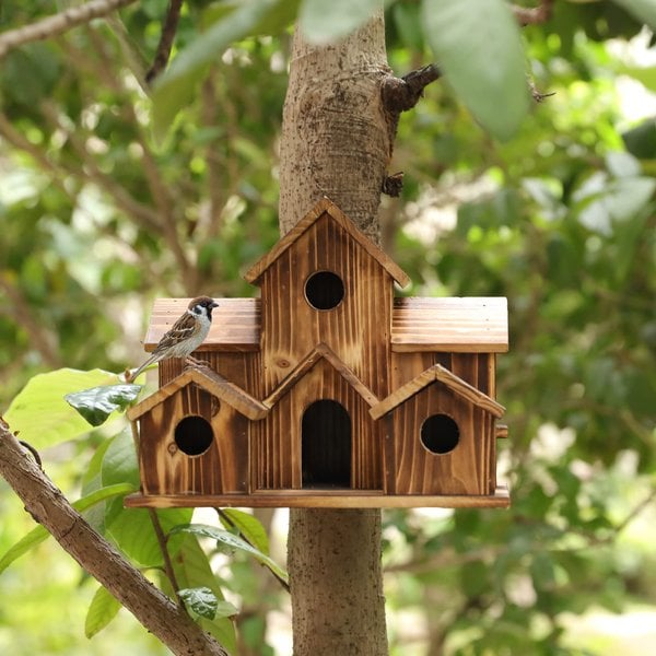 Nichoir fonctionnel en bois pour oiseaux de jardin – Nestora