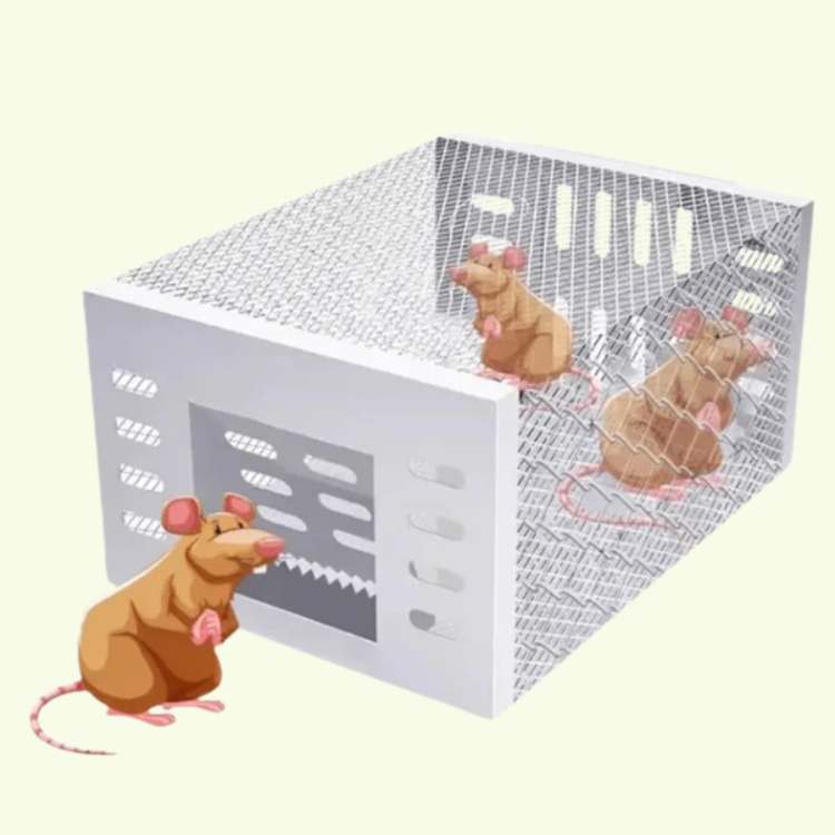 Piège à Souris Inox NoEscape