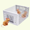 Piège à Souris Inox NoEscape