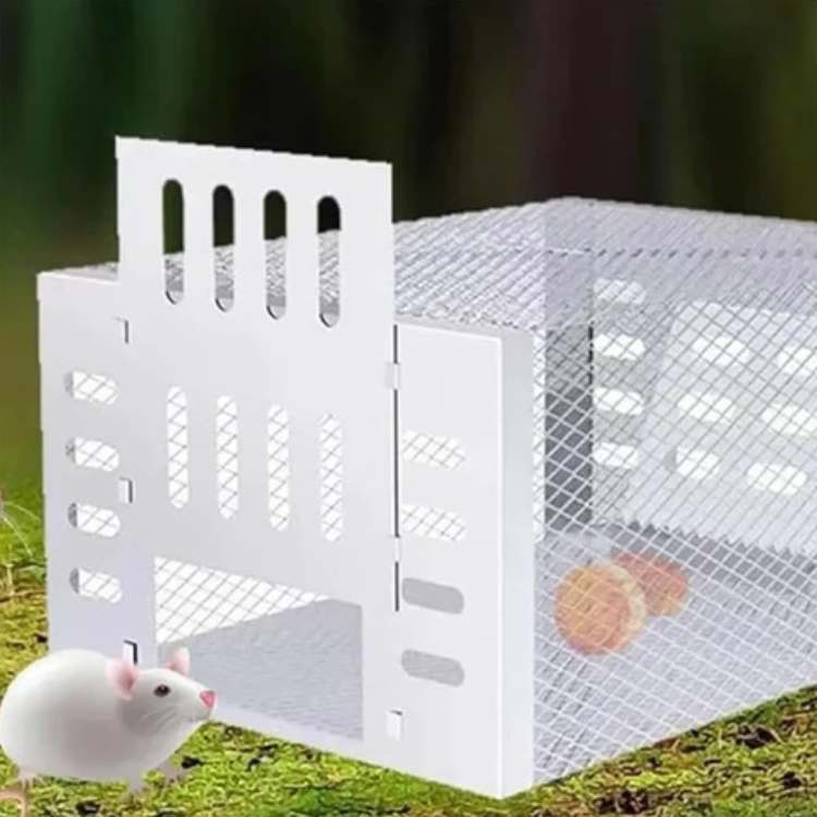 Piège à Souris Inox NoEscape