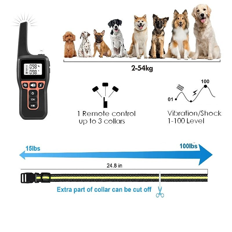 Collier de Dressage pour Chiens – Rechargeable & Étanche jusqu'à 1000m