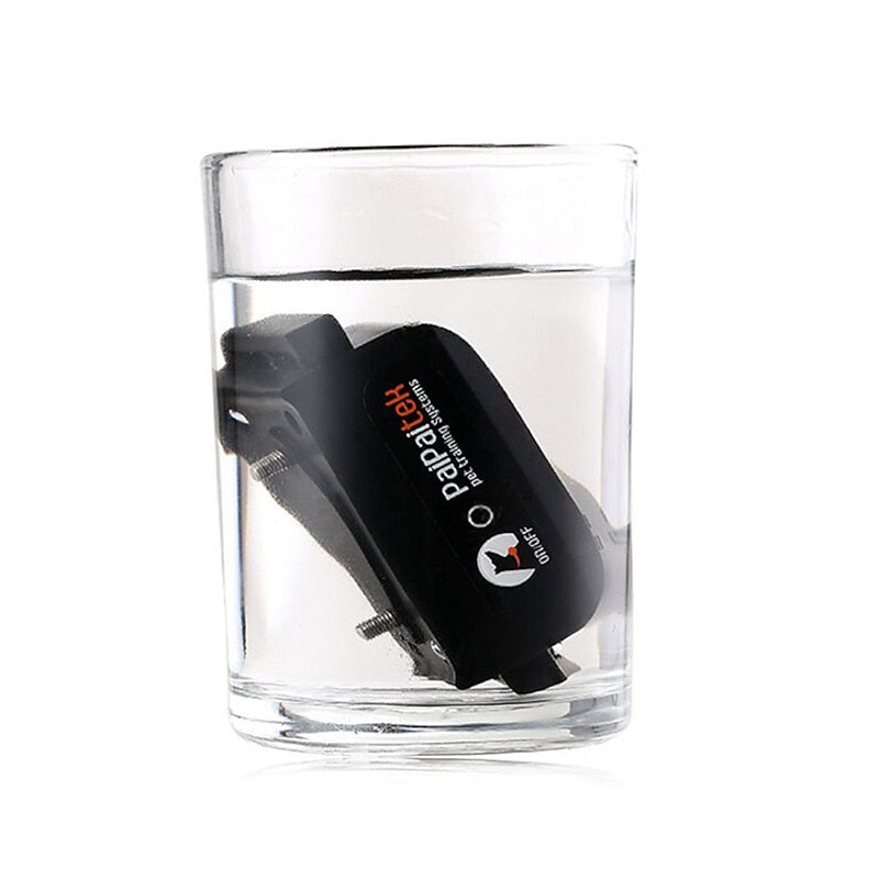 Collier de Dressage pour Chiens – Rechargeable & Étanche jusqu'à 1000m