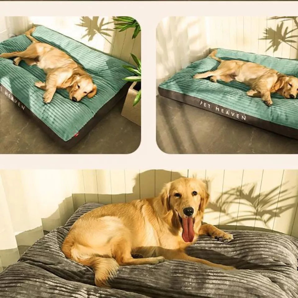Coussin Orthopédique pour Chien | SnuggleRest | Chaud & Confortable