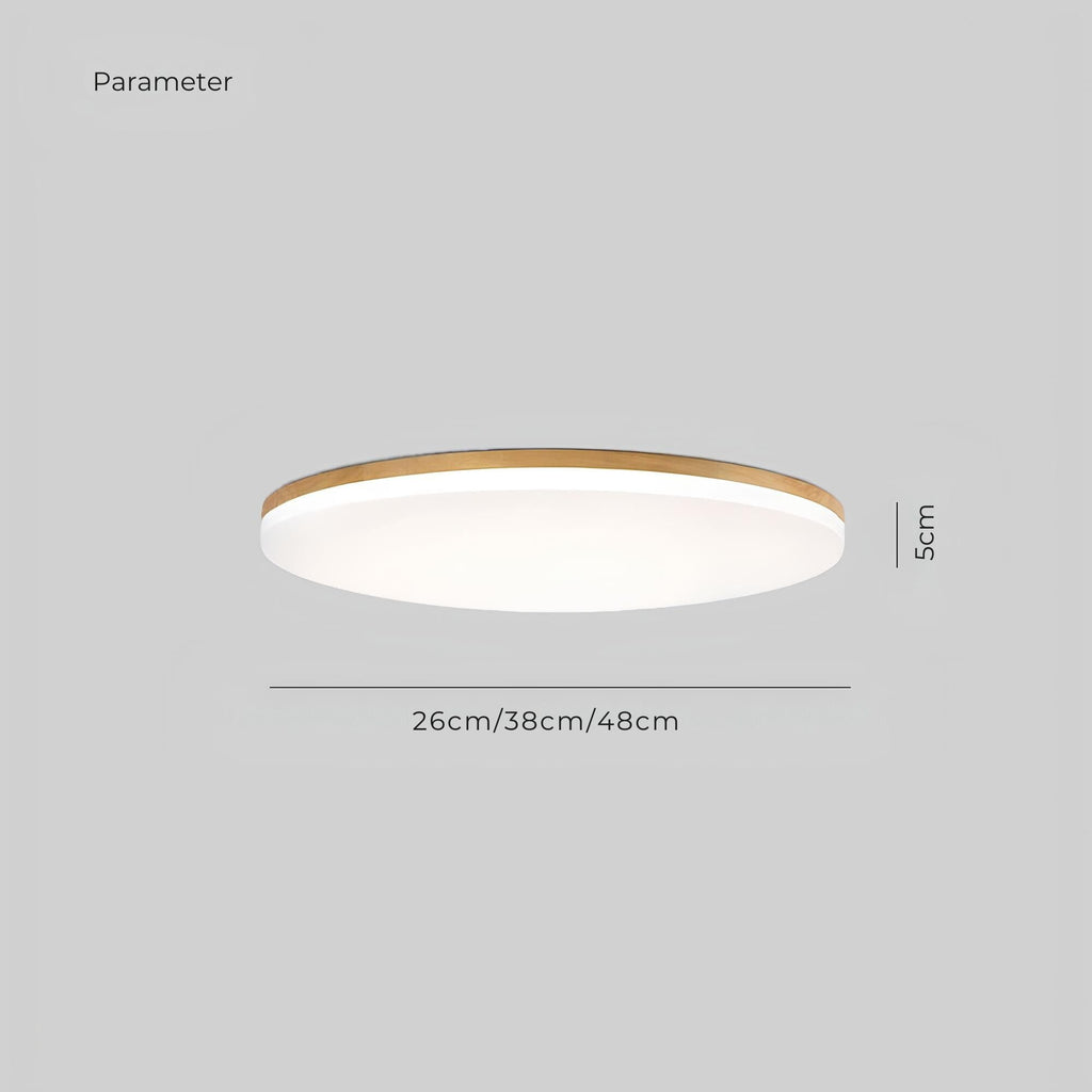 Lampe de plafond LED moderne