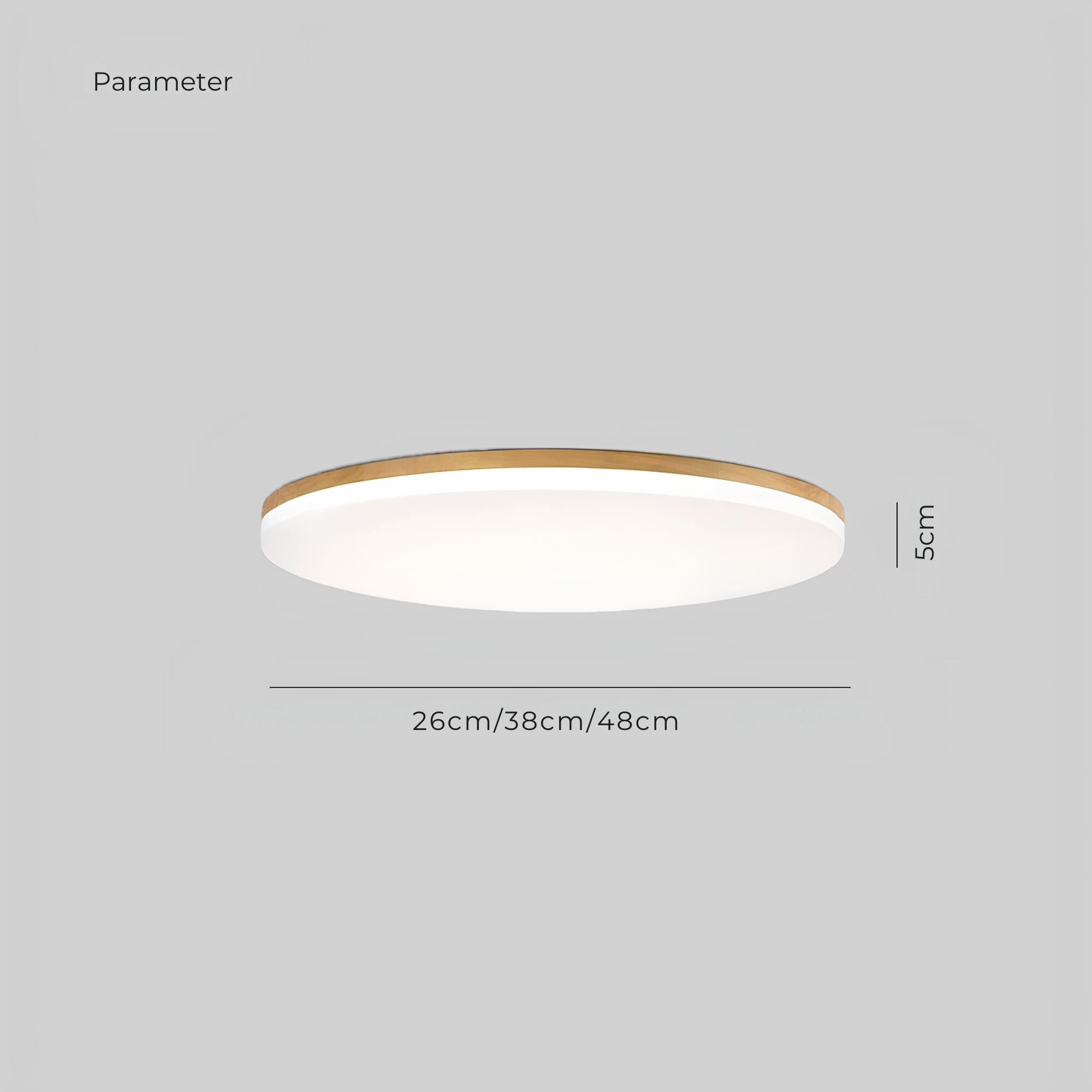 Lampe de plafond LED moderne