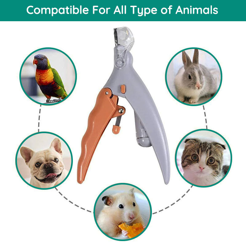 Coupe-ongles pour animaux de compagnie avec lumière LED et capteur de protection
