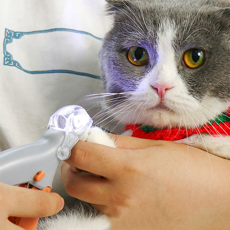 Coupe-ongles pour animaux de compagnie avec lumière LED et capteur de protection