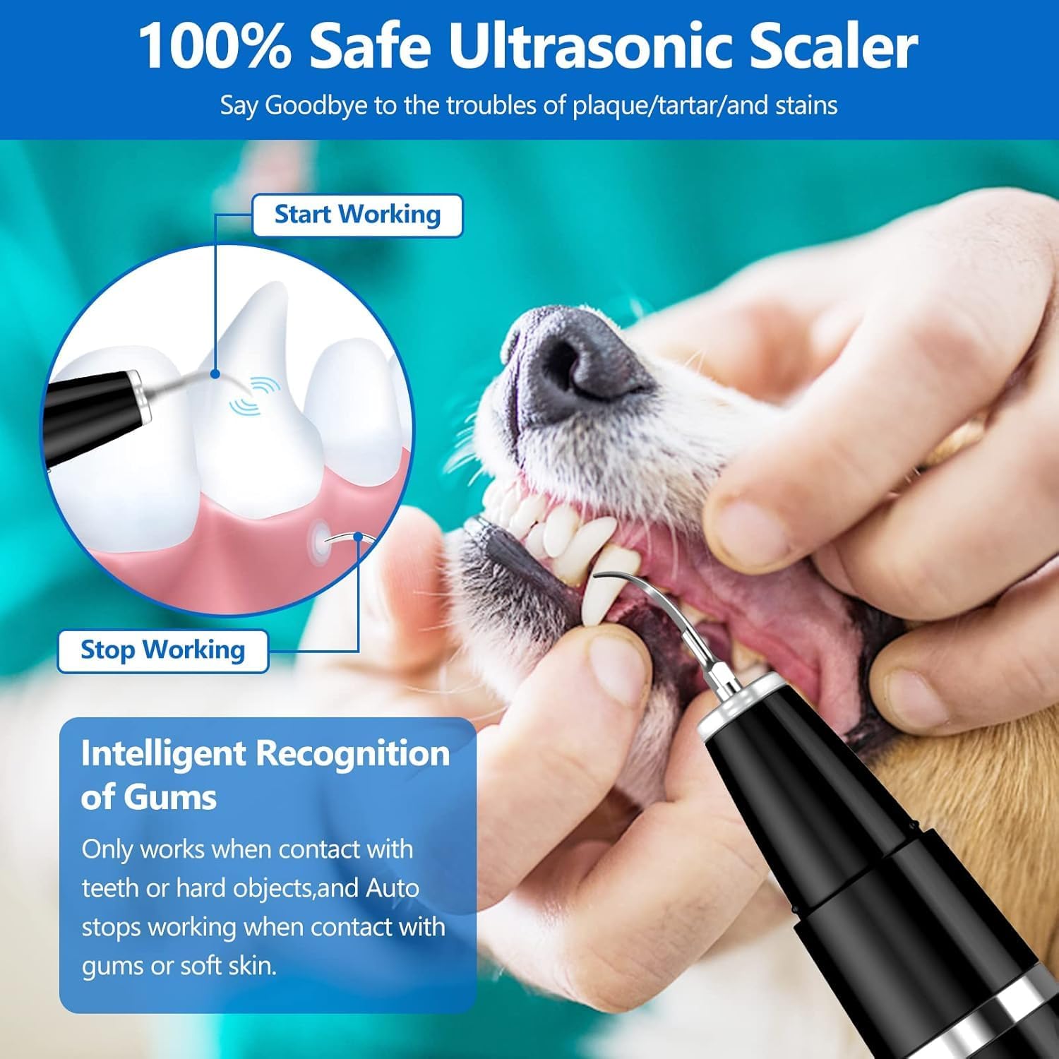 Détartrant pour Animaux de Compagnie - Nettoyeur Ultrasonique de Dents