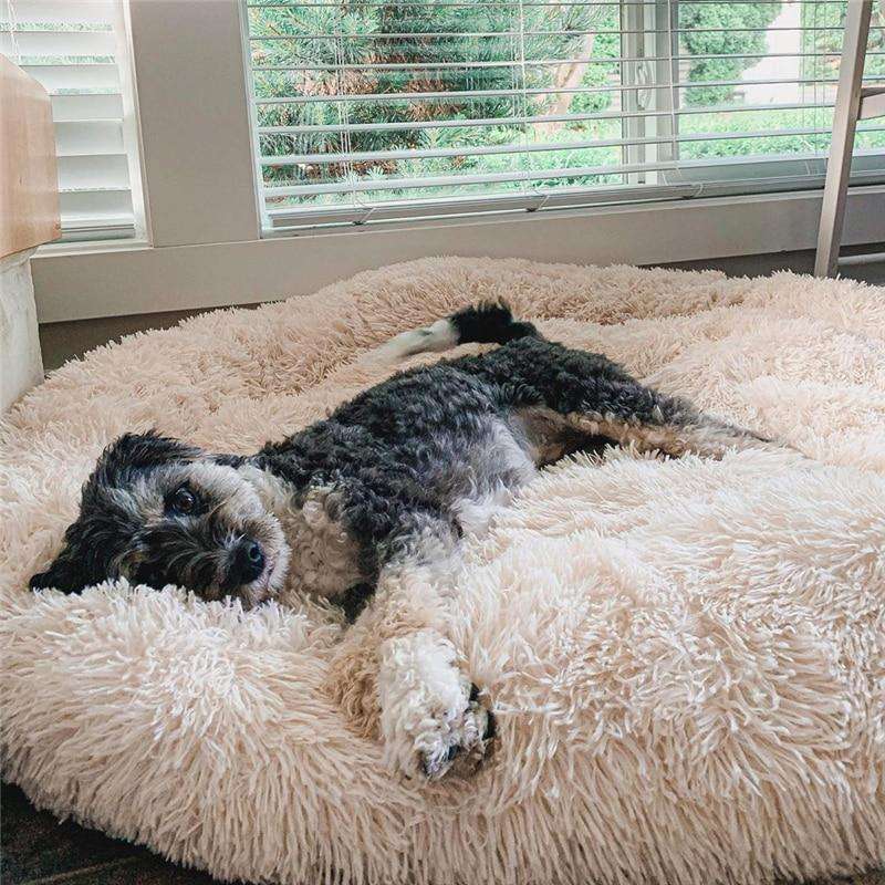 Lit pour chien en forme de donut moelleux anti-anxiété pour tous les chiens