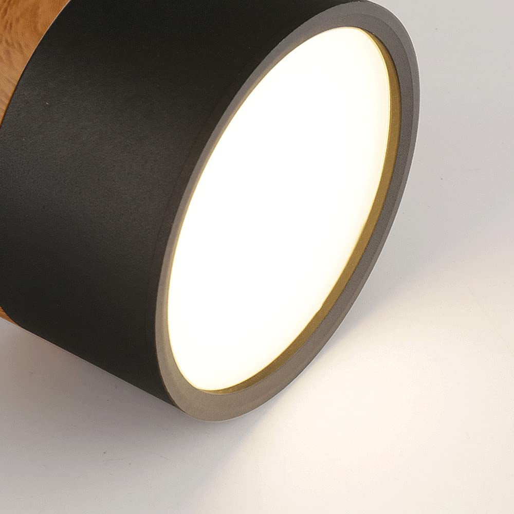 Lampe de plafond moderne avec accent en bois