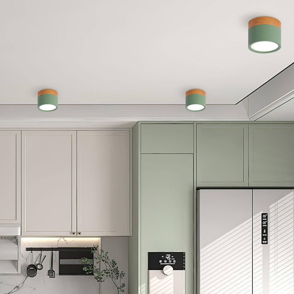 Lampe de plafond moderne avec accent en bois