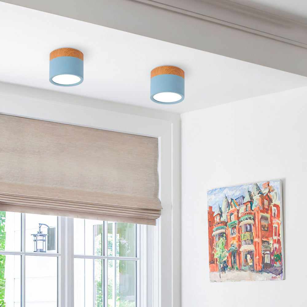 Lampe de plafond moderne avec accent en bois