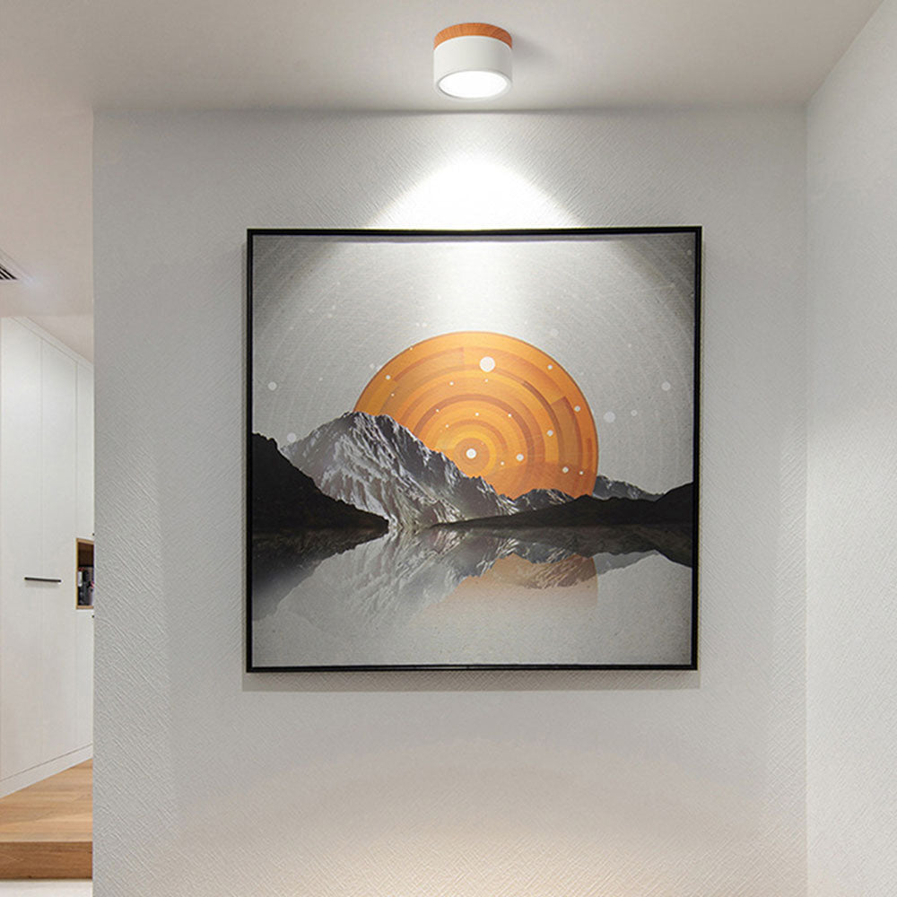 Lampe de plafond moderne avec accent en bois