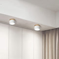 Lampe de plafond moderne avec accent en bois