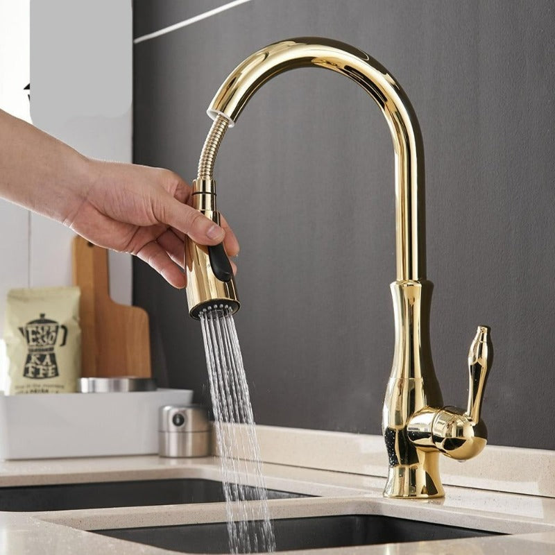 Robinet de cuisine moderne extensible