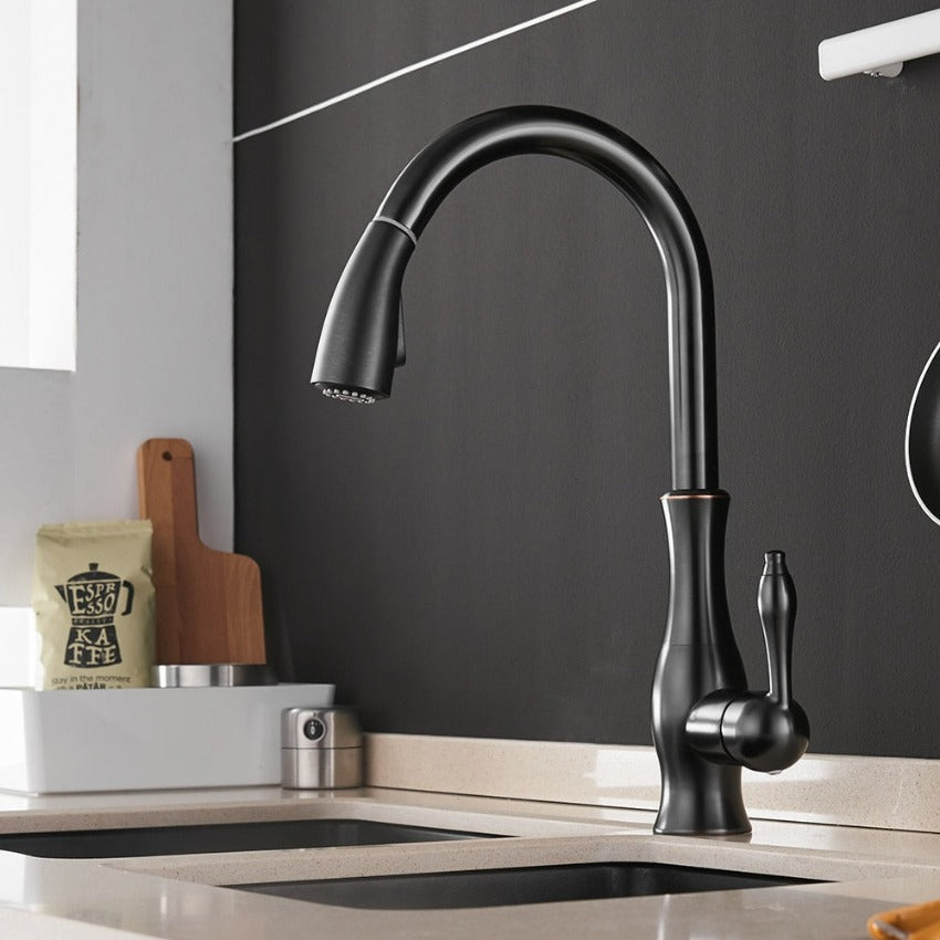 Robinet de cuisine moderne extensible