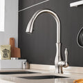 Robinet de cuisine moderne extensible