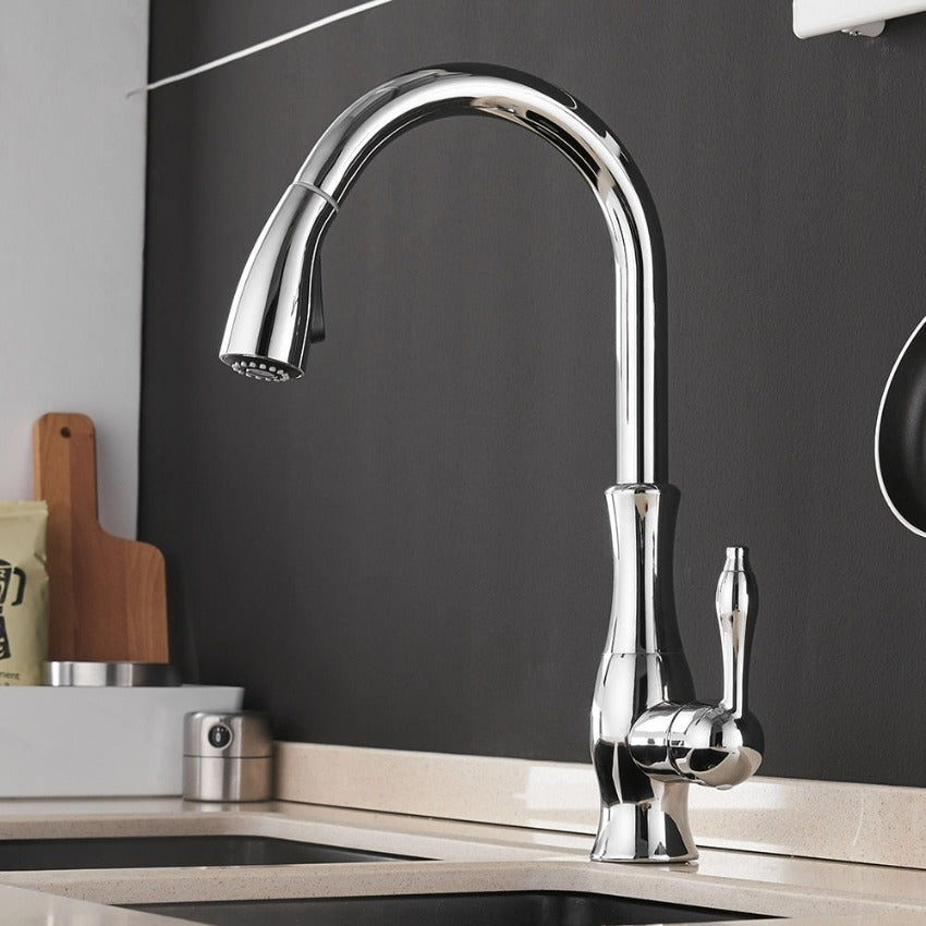 Robinet de cuisine moderne extensible