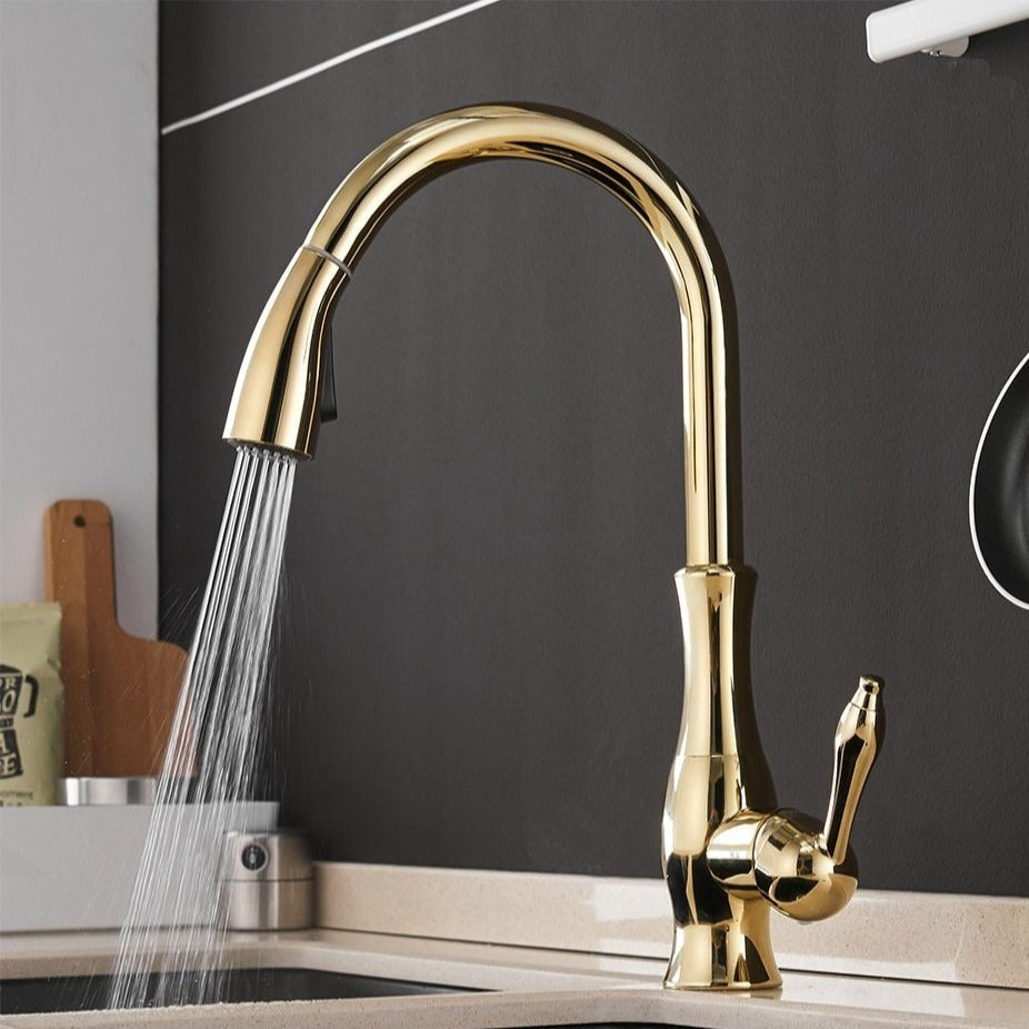 Robinet de cuisine moderne extensible