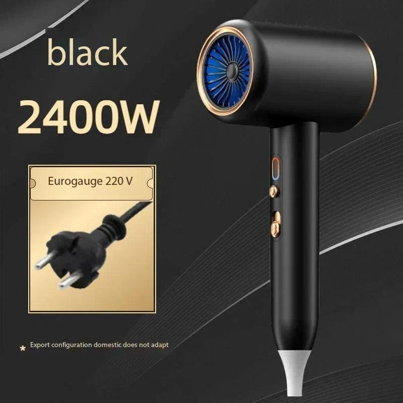 SÈCHE-CHEVEUX PROFESSIONNEL 2400W AVEC AIR FROID ET CHAUD - IONS NÉGATIFS - SÈCHE-CHEVEUX PUISSANT POUR DES RÉSULTATS DE SALON