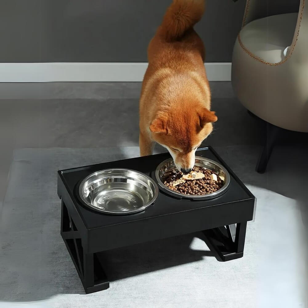 PupLift Bol pour Chien Élevé – Ergonomique & Alimentation Lente pour des Repas Plus Sains