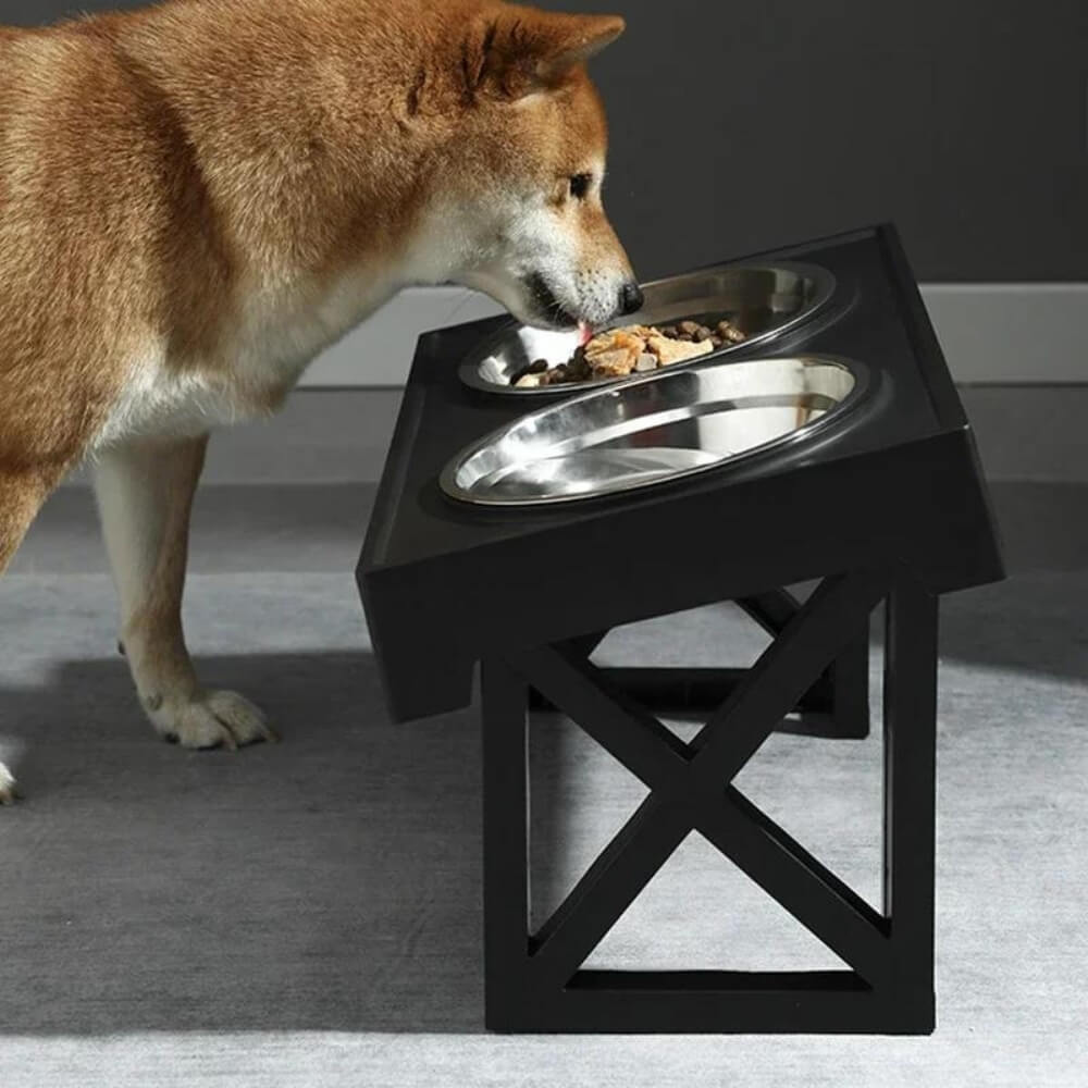 PupLift Bol pour Chien Élevé – Ergonomique & Alimentation Lente pour des Repas Plus Sains