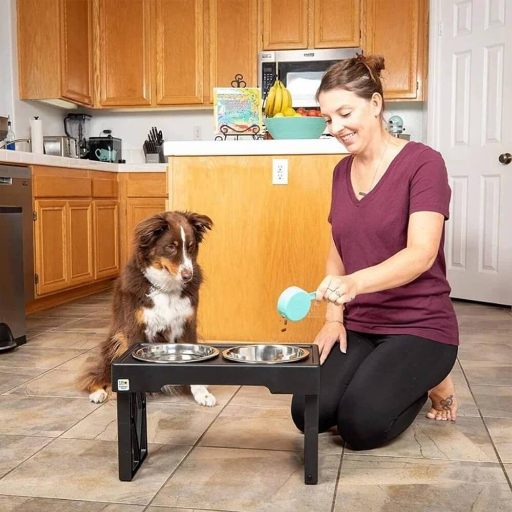 PupLift Bol pour Chien Élevé – Ergonomique & Alimentation Lente pour des Repas Plus Sains