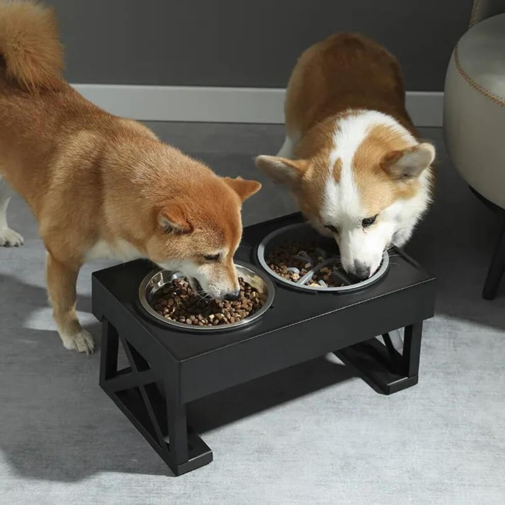 PupLift Bol pour Chien Élevé – Ergonomique & Alimentation Lente pour des Repas Plus Sains