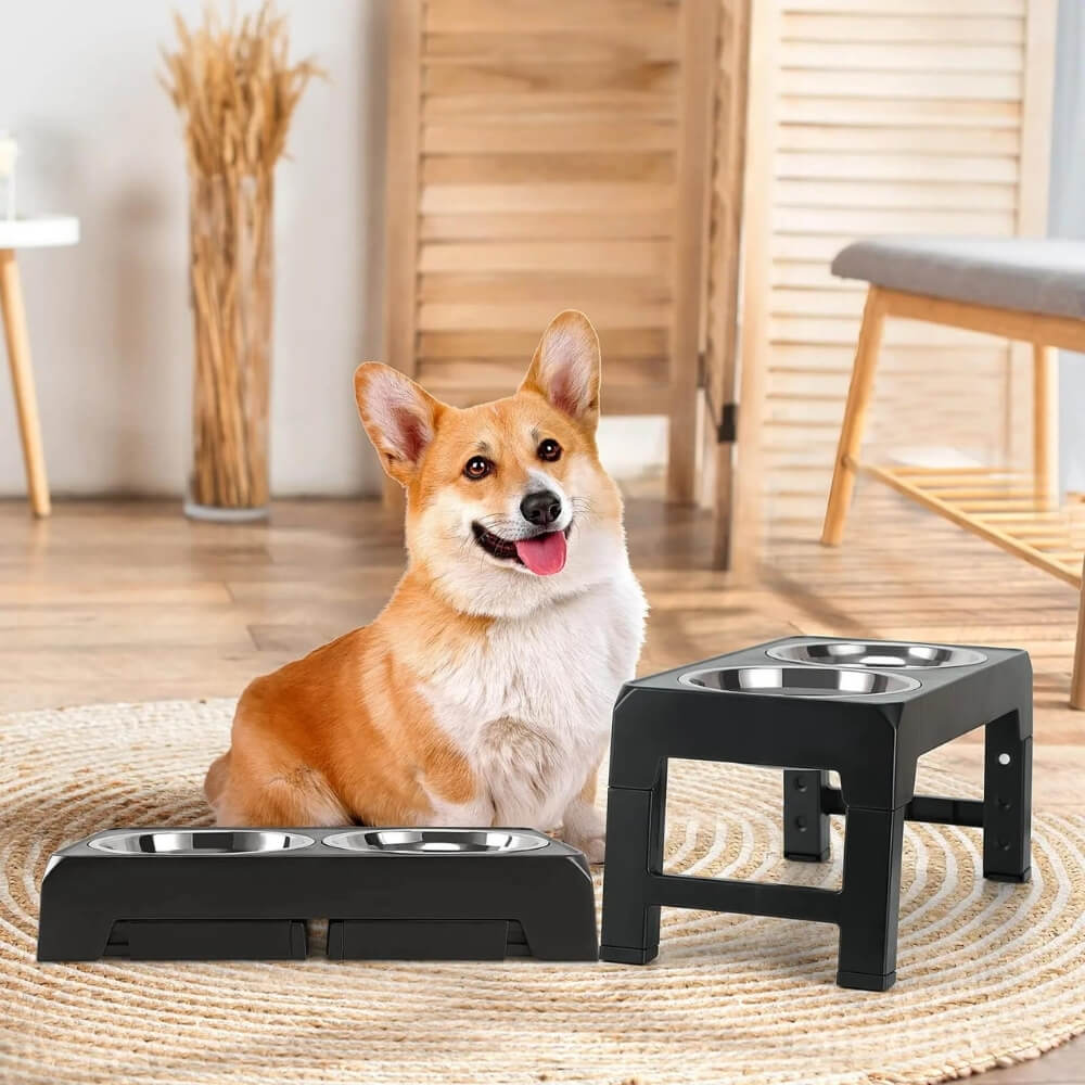 PupLift Bol pour Chien Élevé – Ergonomique & Alimentation Lente pour des Repas Plus Sains