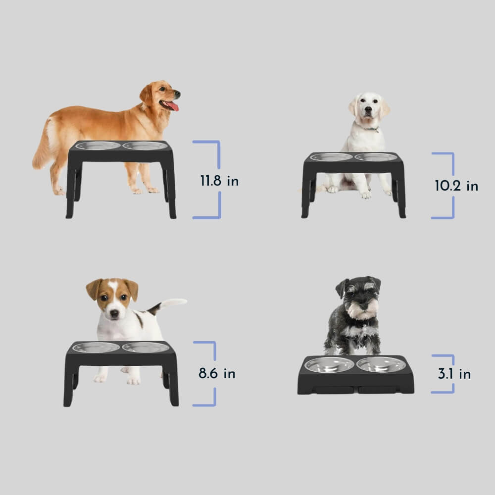 PupLift Bol pour Chien Élevé – Ergonomique & Alimentation Lente pour des Repas Plus Sains
