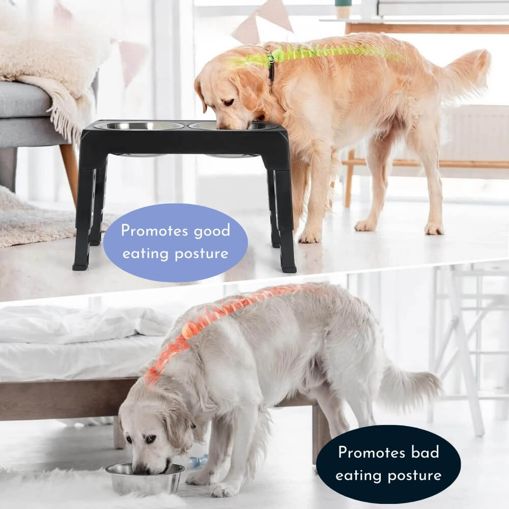 PupLift Bol pour Chien Élevé – Ergonomique & Alimentation Lente pour des Repas Plus Sains