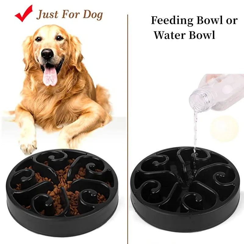 Bol pour Chien Anti-Renversement avec Nourrissage Lent pour des Repas Amusants