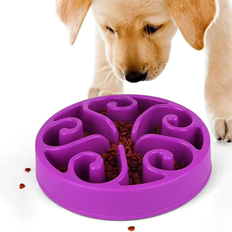 Bol pour Chien Anti-Renversement avec Nourrissage Lent pour des Repas Amusants