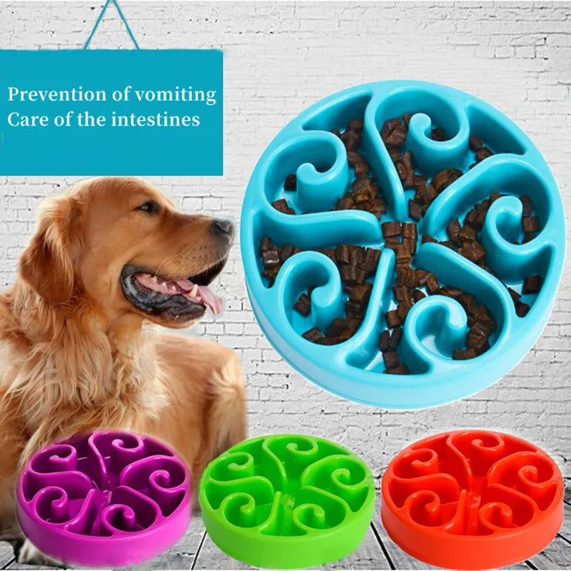 Bol pour Chien Anti-Renversement avec Nourrissage Lent pour des Repas Amusants