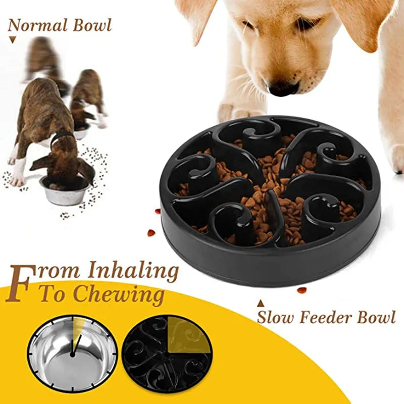 Bol pour Chien Anti-Renversement avec Nourrissage Lent pour des Repas Amusants