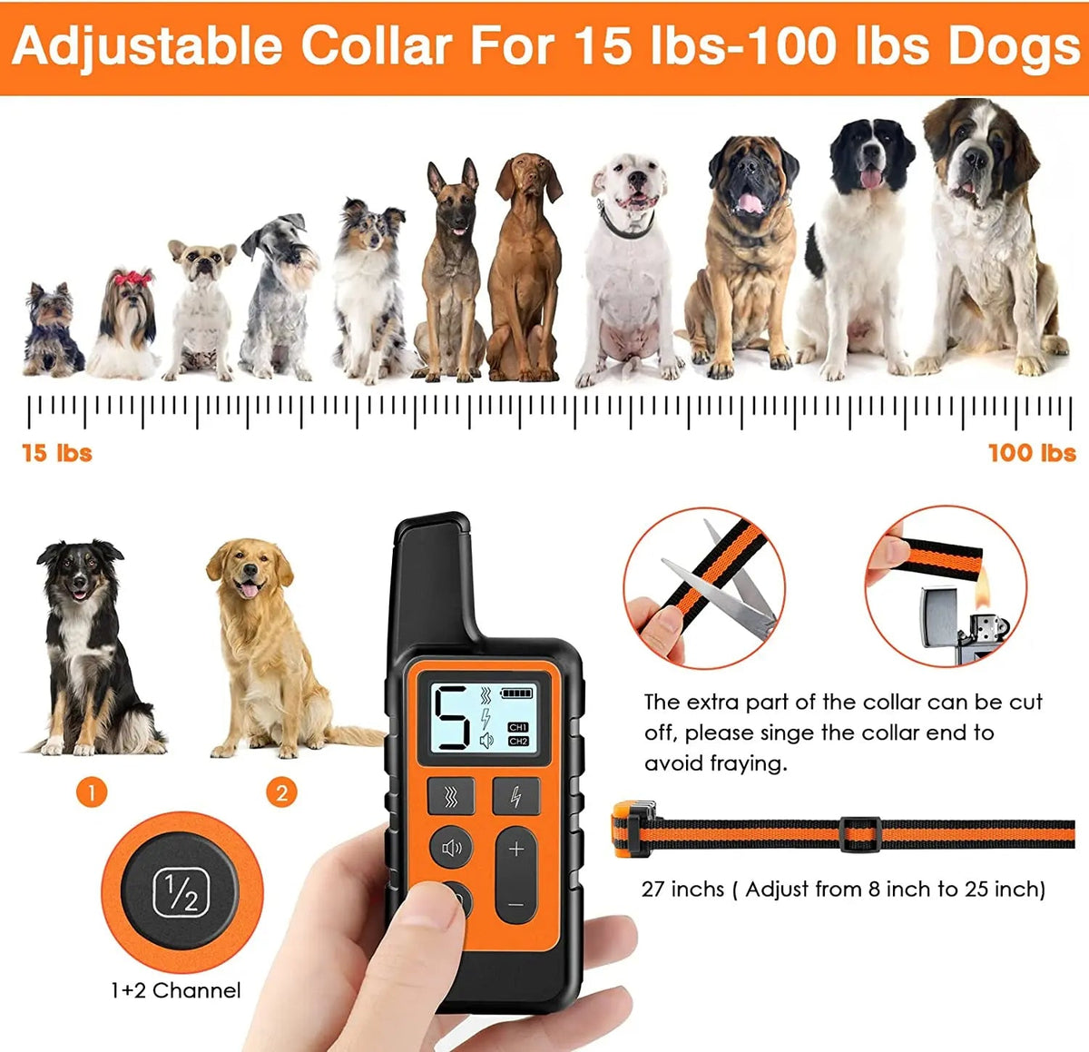Collier de Dressage pour Chien avec Télécommande Ajustable à 5 Niveaux