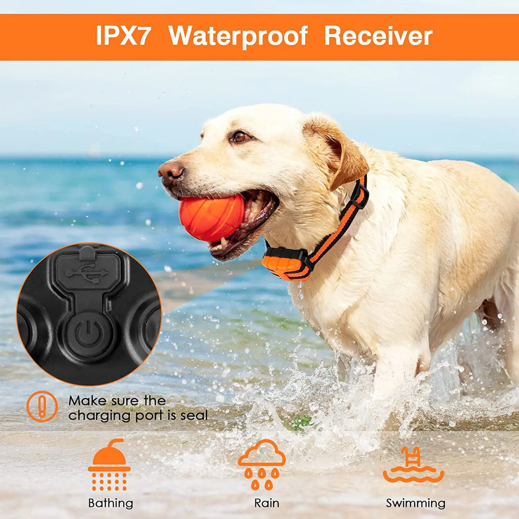 Collier de Dressage pour Chien avec Télécommande Ajustable à 5 Niveaux