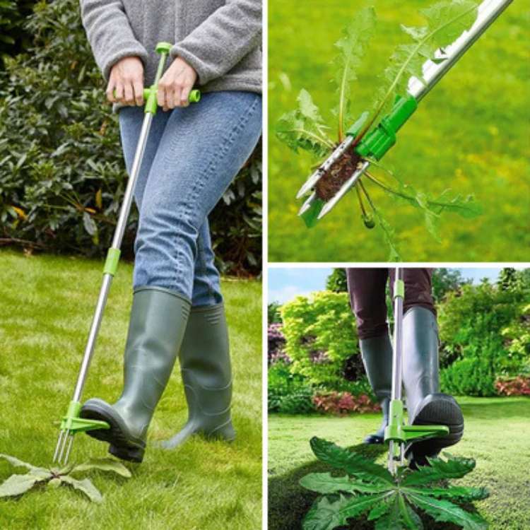 RootRipper Dénicheur de Mauvaises Herbes