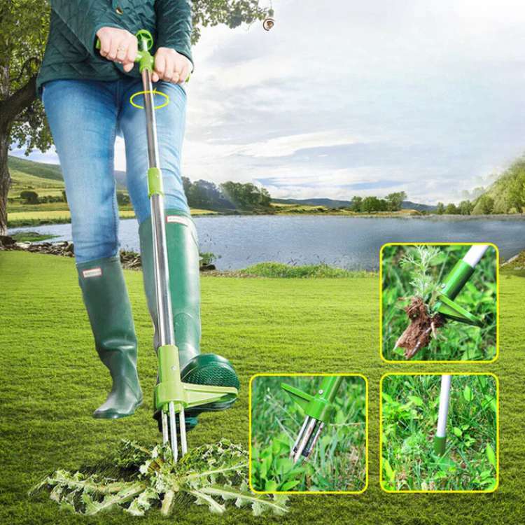 RootRipper Dénicheur de Mauvaises Herbes