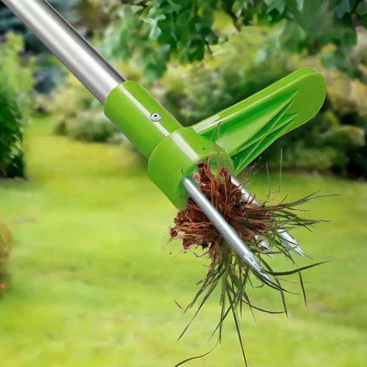 RootRipper Dénicheur de Mauvaises Herbes