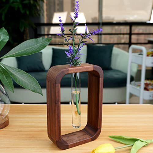 Vase en Verre avec Support en Bois pour Boutures