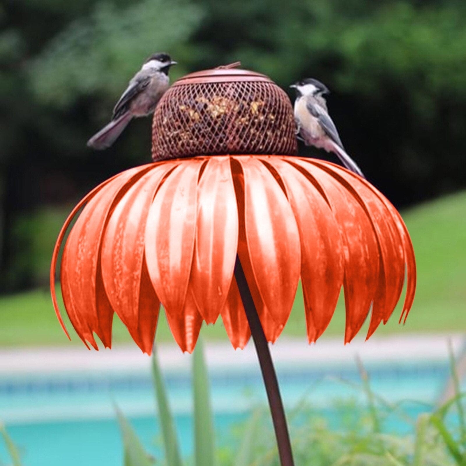 Maison à oiseaux - 50% DE RÉDUCTION aujourd'hui !