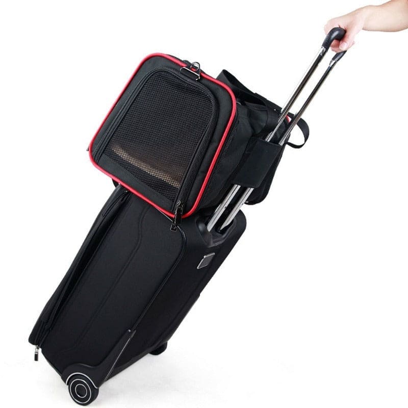 Sac de transport pour chats réglable Siblekat