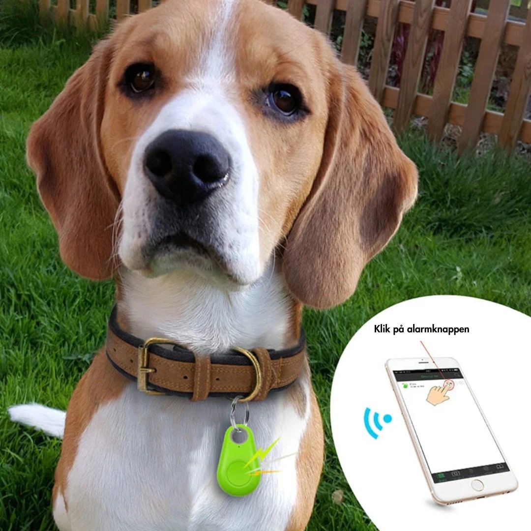 SafeTrack | Tracker GPS avec Suivi en Direct pour Enfants, Animaux de Compagnie et Objets de Valeur